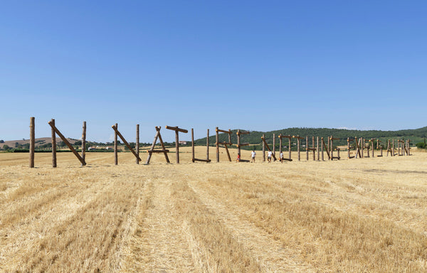 CLAUDIA COMTE <br> IN NATURE NOTHING EXISTS ALONE