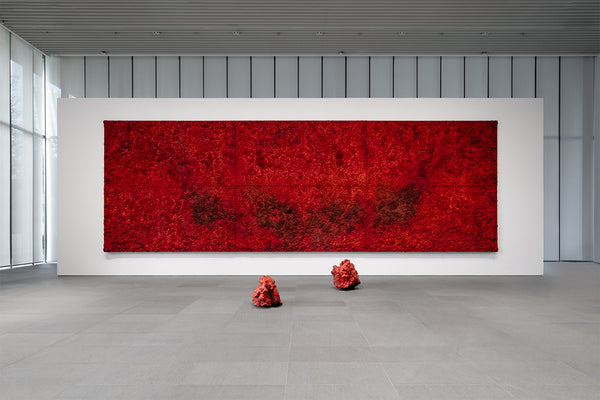 BOSCO SODI – KÖNIG GALERIE