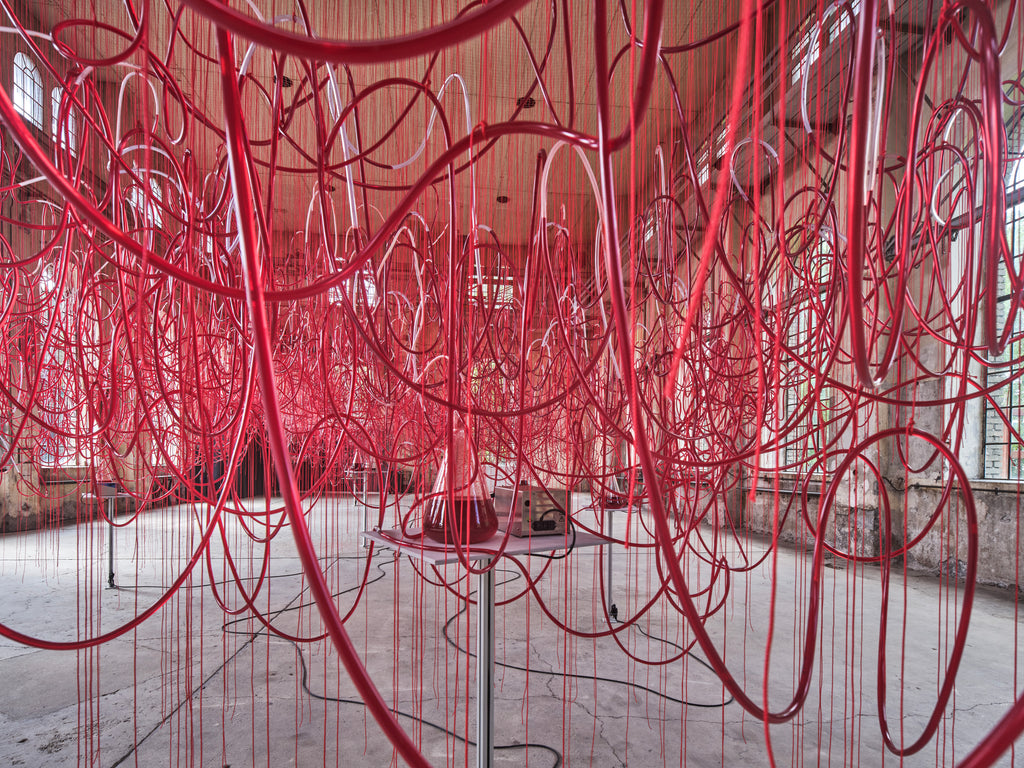 CHIHARU SHIOTA | WHO AM I TOMORROW? – KÖNIG GALERIE