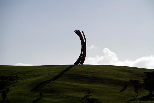 BERNAR VENET – KÖNIG GALERIE