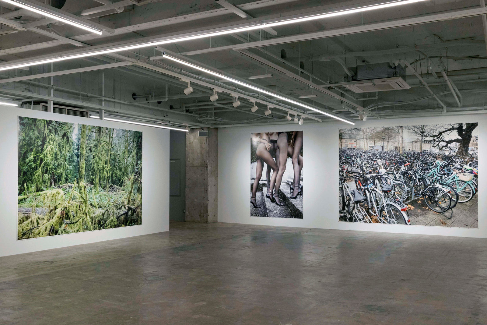 JÜRGEN TELLER | HEIMWEH – KÖNIG GALERIE