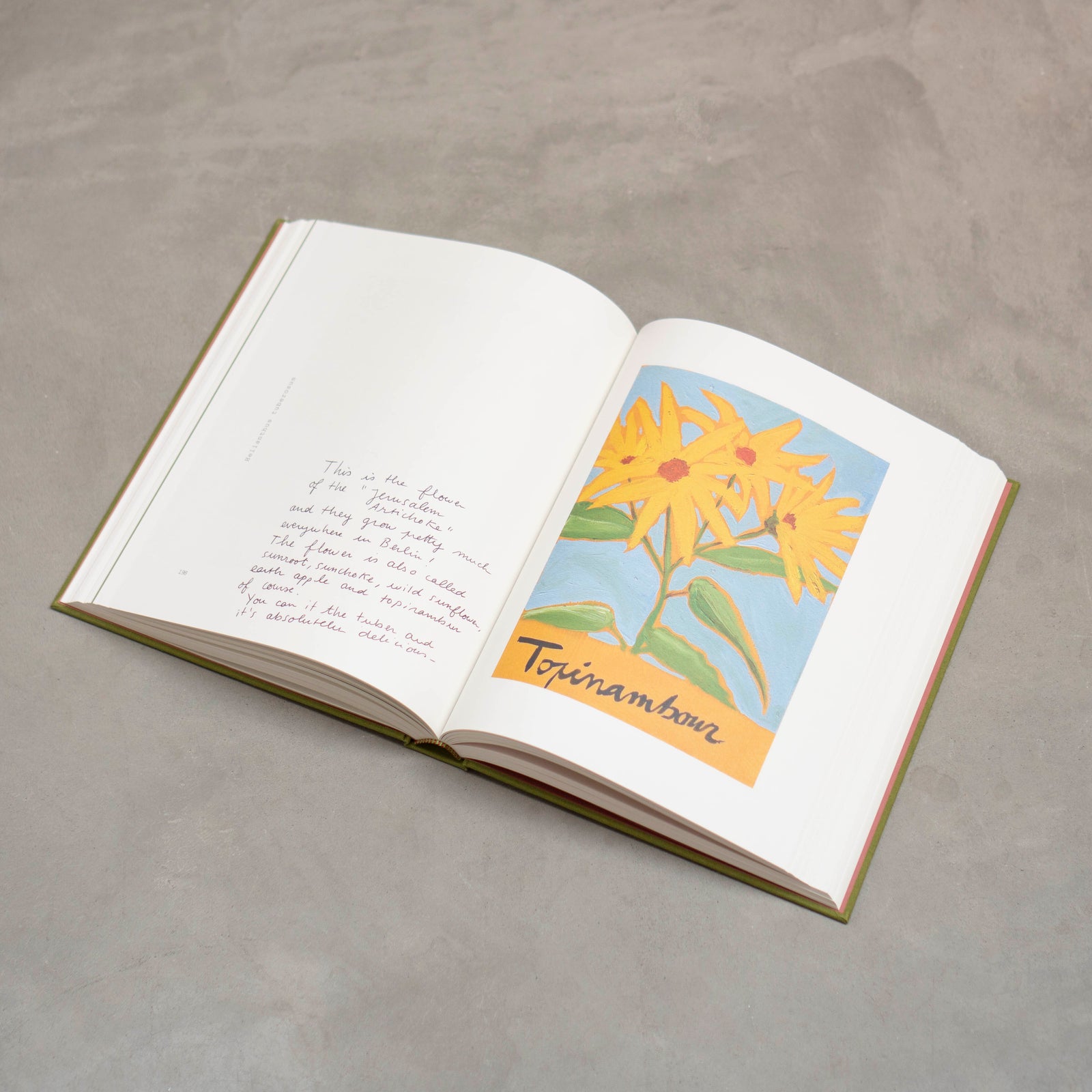 Flowers Underfoot メトロポリタンミュージアム　図録　未開封 THE FLOWERS ON THE SIDE OF THE ROAD – KÖNIG GALERIE