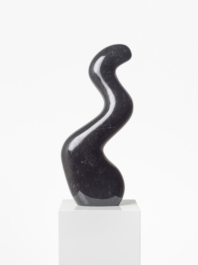 The Marble Worm