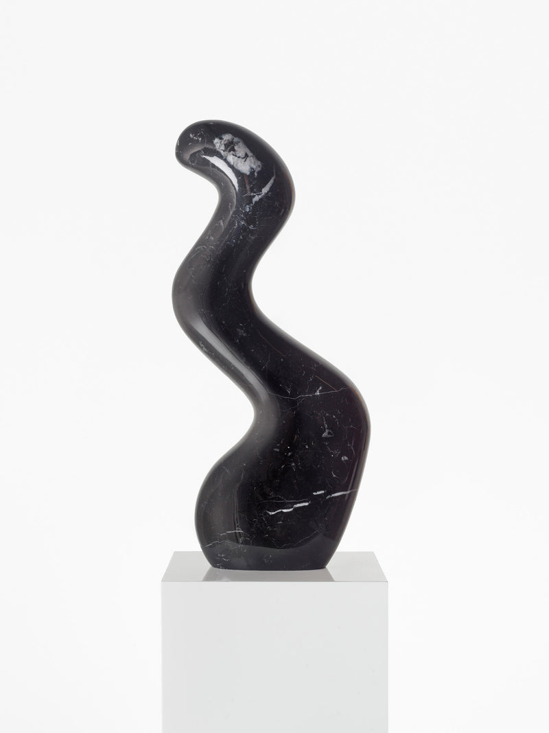 The Marble Worm