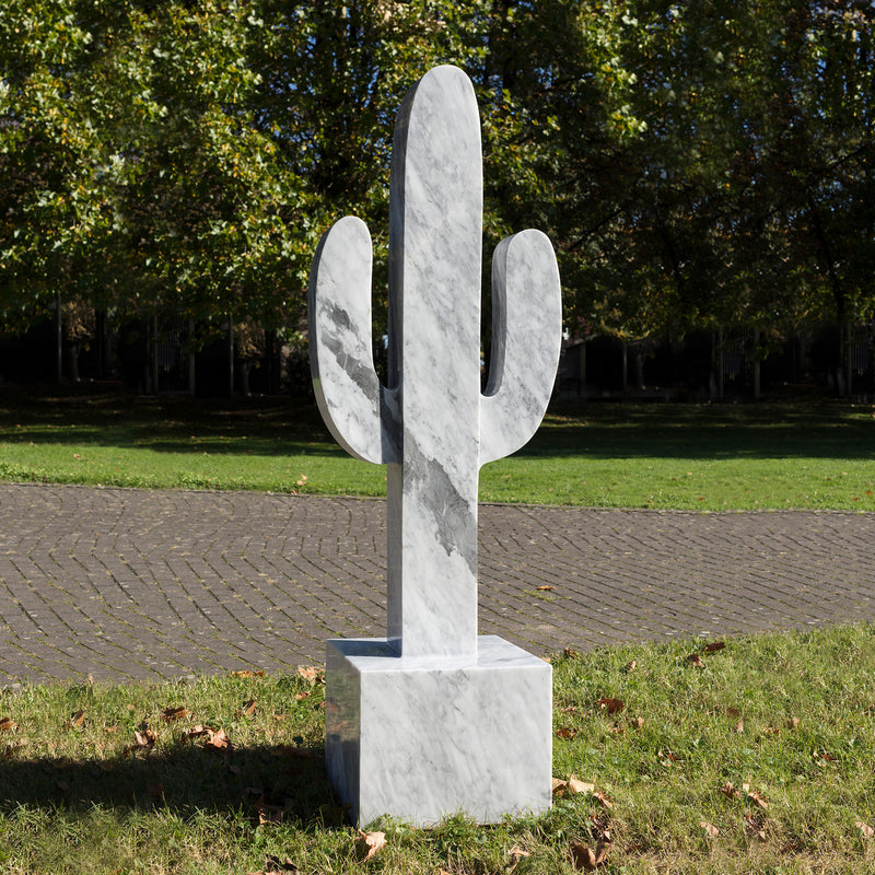 Xavier (Marble cactus)