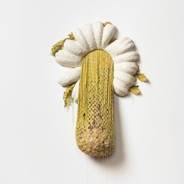 Capsule I