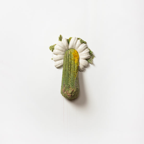 Capsule III