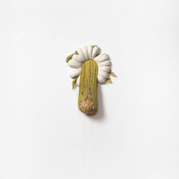 Capsule I