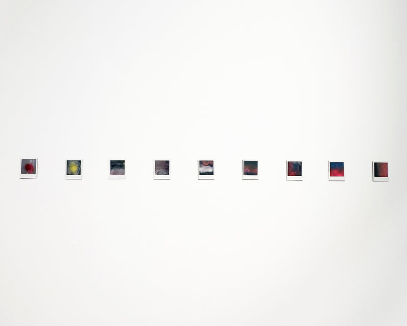 Polaroid Painting (small)