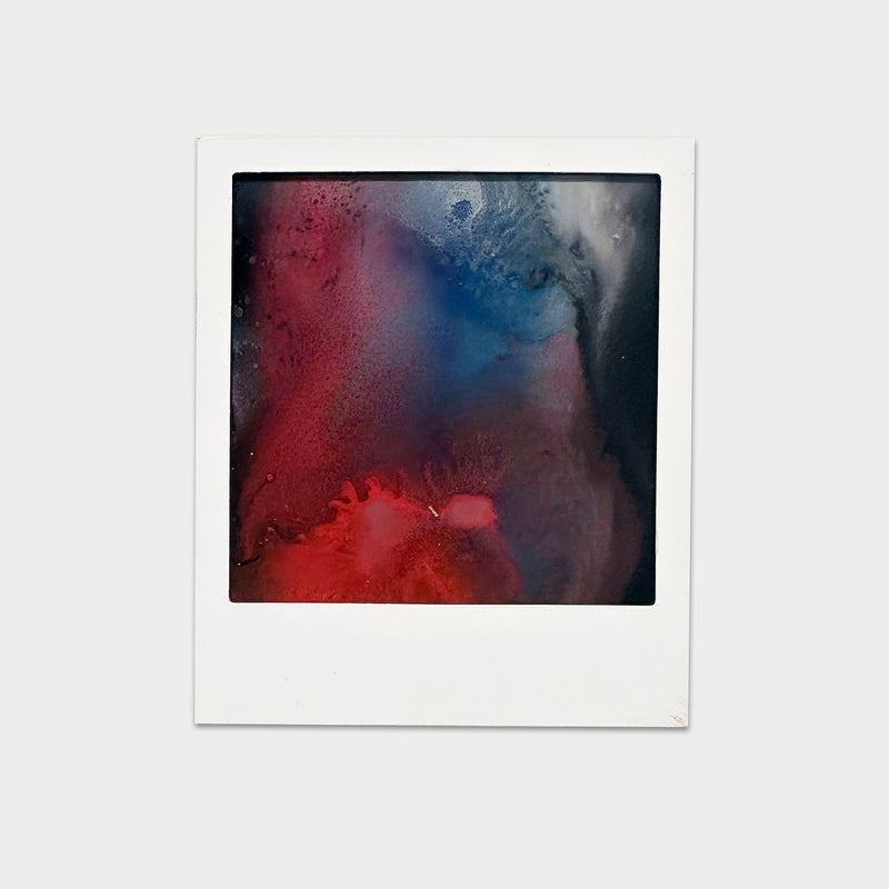 Polaroid Painting (small)