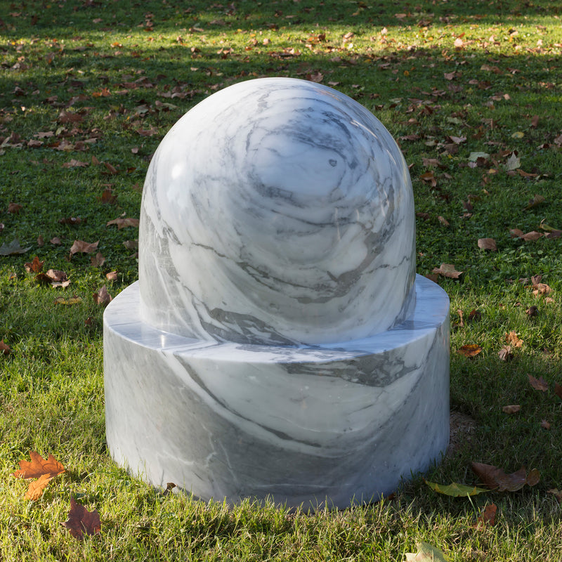 Albertine (Marble cactus)