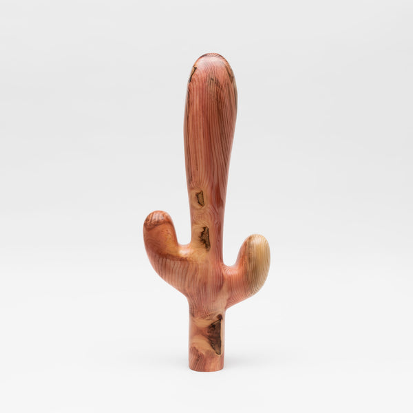 Matthaeus (Wooden Cactus)