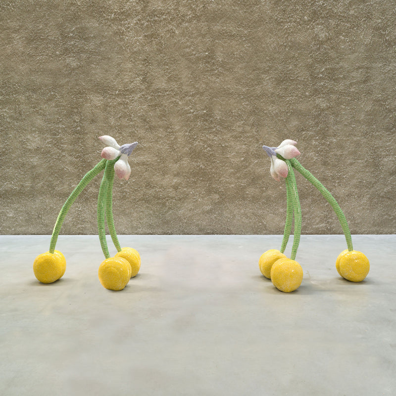 Bloom to Beat