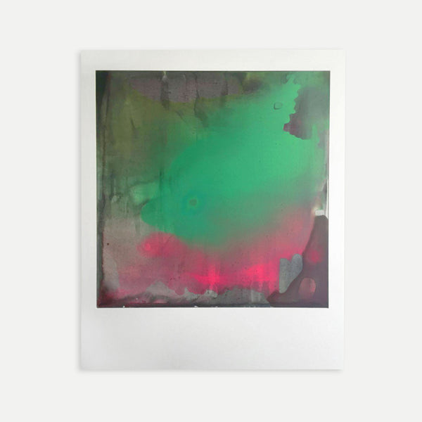 Negative Polaroid Painting