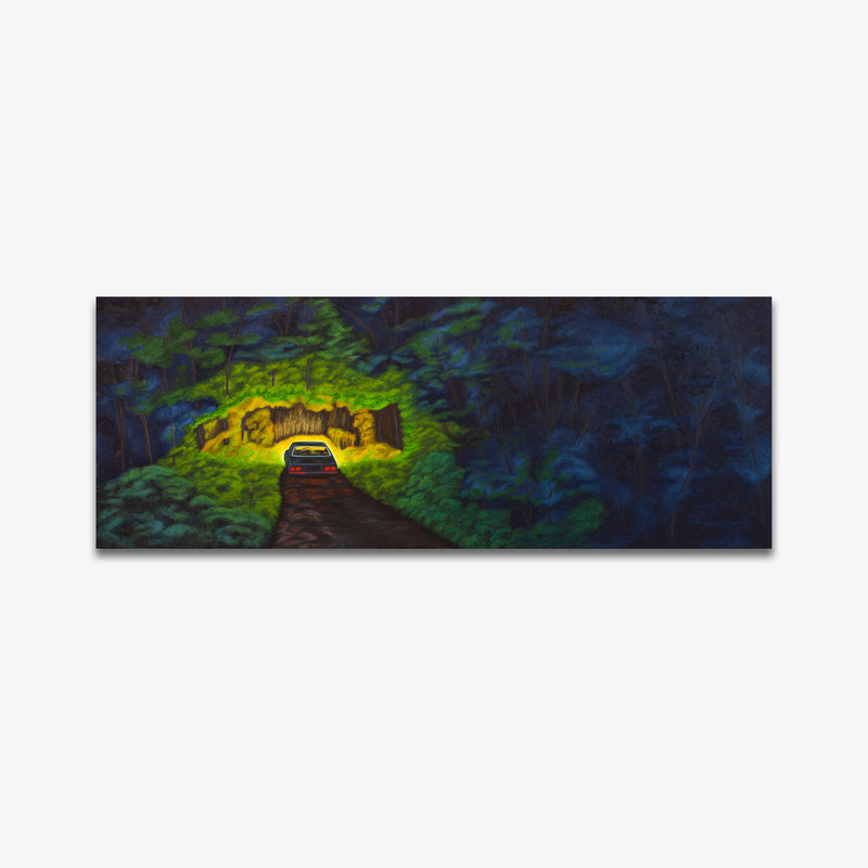 Car in Woods