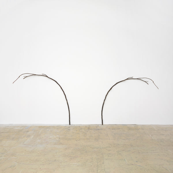 Parallelwelt (Ast/AntiAst) II