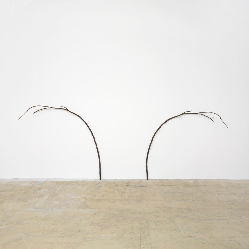 Parallelwelt (Ast/AntiAst) II