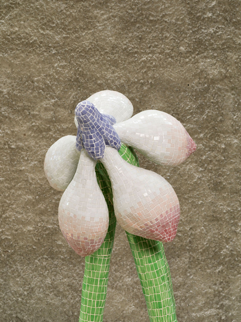 Bloom to Beat