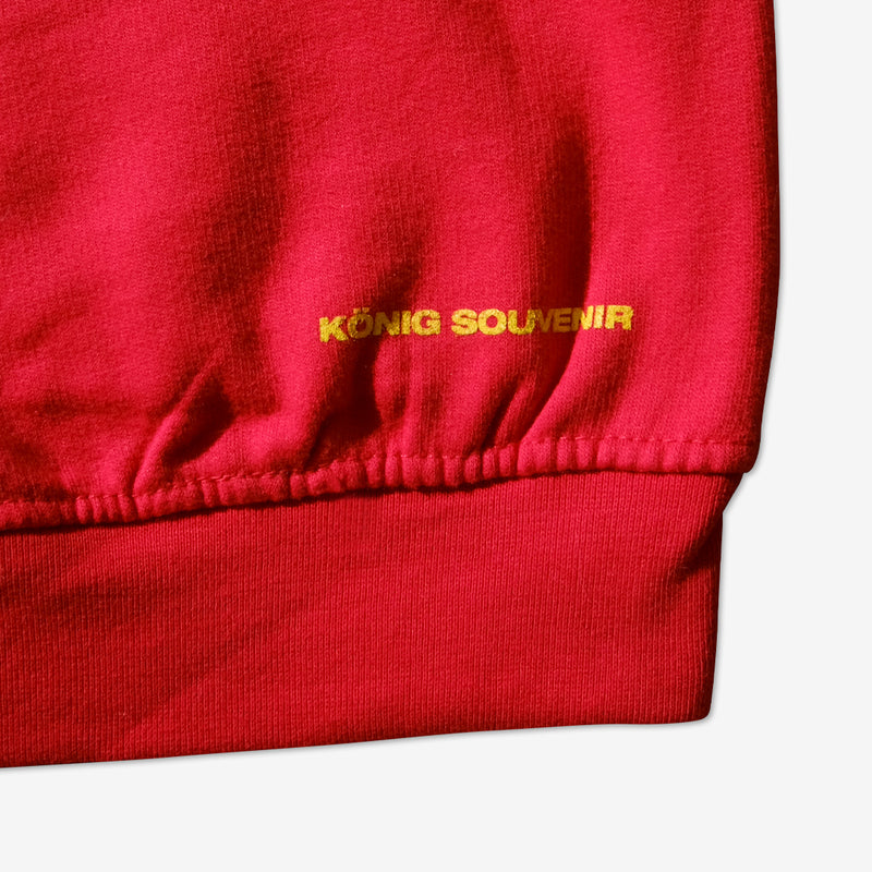 EUnify KIDS Hoodie