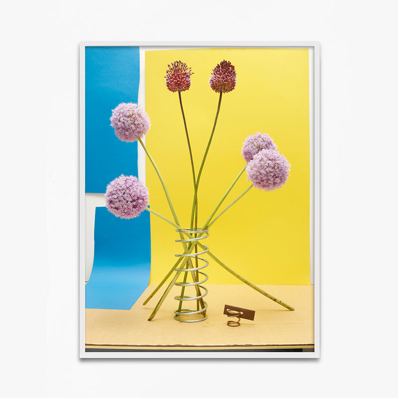 Allium (Together)