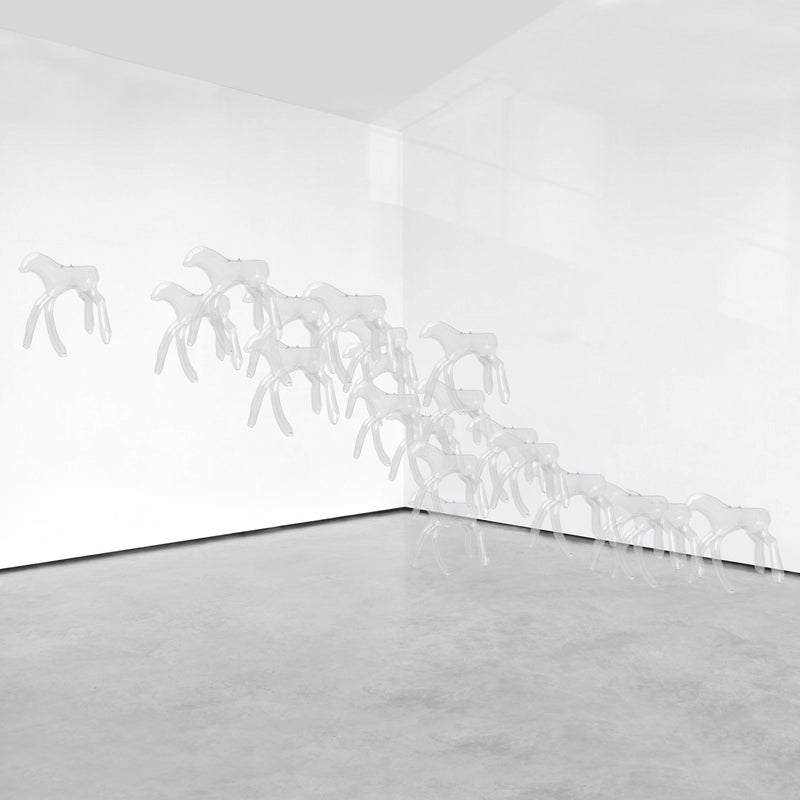 The Herd N°1