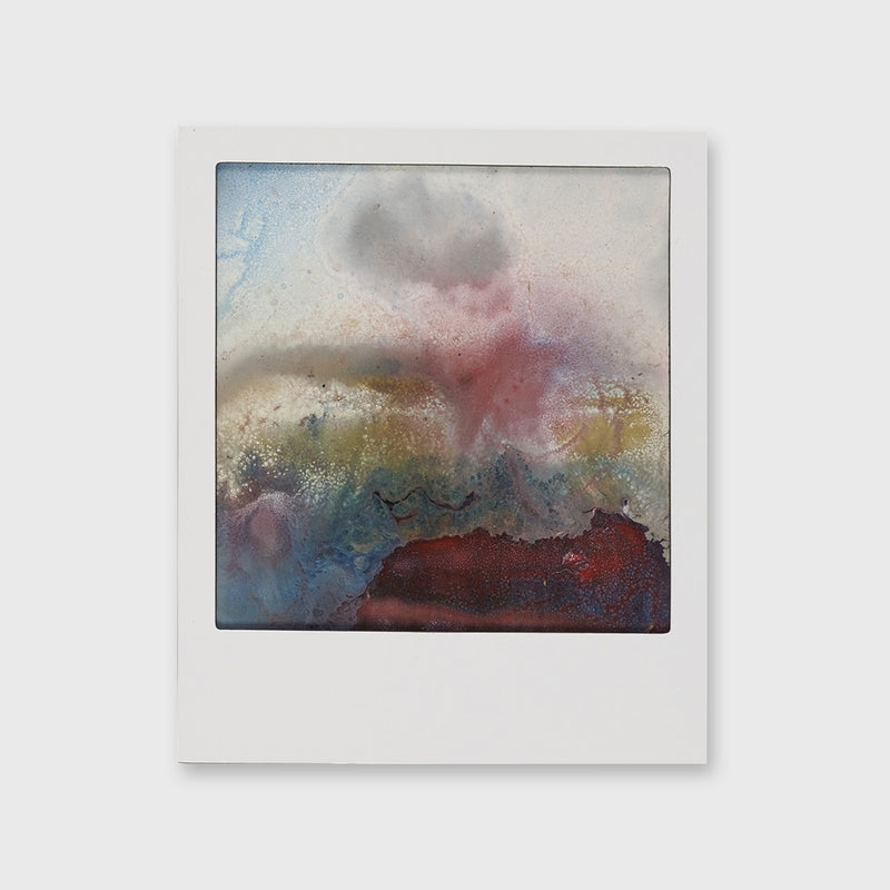 Polaroid Painting (small)