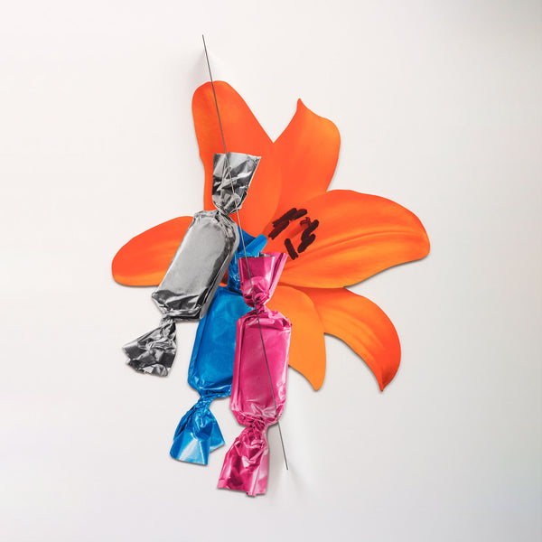 Orange Lily