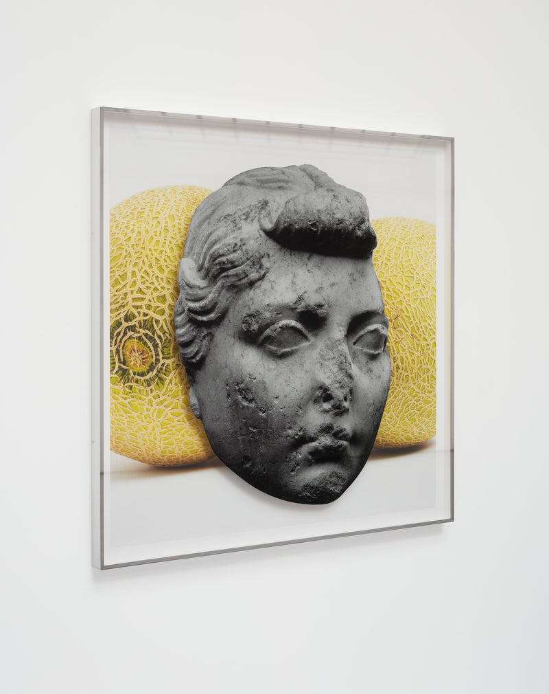 Tutti Frutti Ancient (Daughter of Juno and Lettuce)