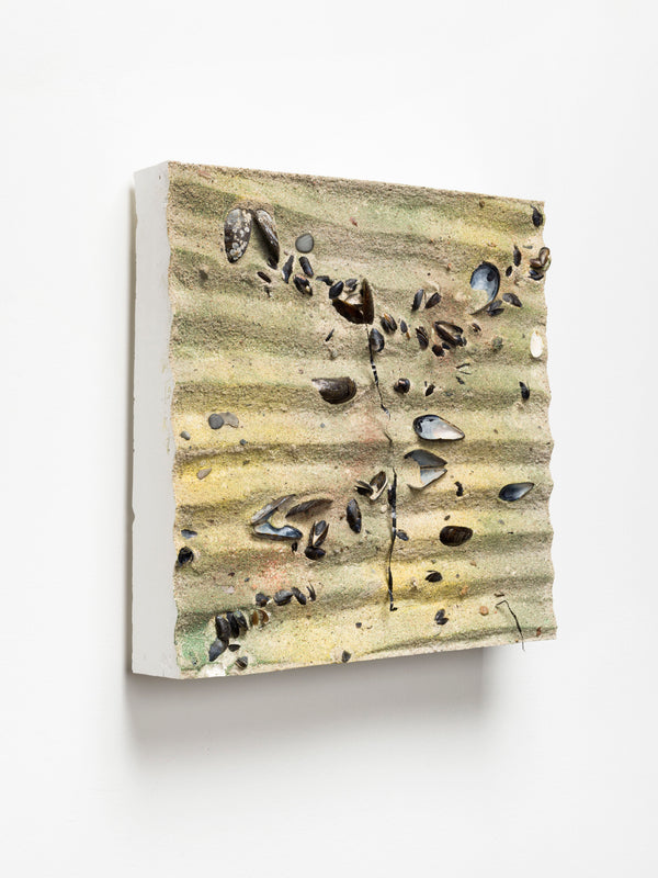 Untitled (Beach Cast III)